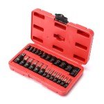 25-Piece Torx and E-Torx Bit Set