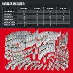CRAFTSMAN 299-Piece Comprehensive Socket Set