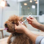 2 Pack Locking Pliers with Serrated Jaws