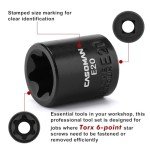 11-Piece Female Torx Socket Set with Rail
