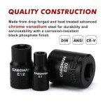 11-Piece Female Torx Socket Set with Rail