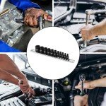 11-Piece Female Torx Socket Set with Rail