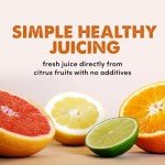 Compact Electric Citrus Juicer with Pulp Control