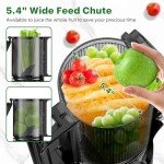 Cold Press Masticating Juicer with Wide Feed Chute