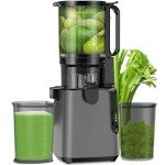 Cold Press Juicer with Extra Large Feed Chute