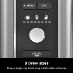 Ninja XL Coffee Maker: Hot & Iced Brew Styles