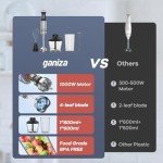 Ganiza 5-in-1 Immersion Blender with Accessories
