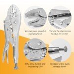 2-Piece Locking Pliers Set with Wire Cutter