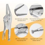 2-Piece Locking Pliers Set with Wire Cutter