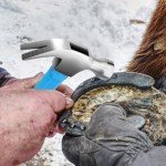 Comfort Grip 13 oz Claw Hammer for Projects