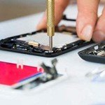 6-in-1 Floral Hammer & Screwdriver Multitool