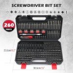 Precision 260-Piece Screwdriver Bit Set with Holder