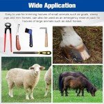 10" 8-Piece Farrier Tool Set for Goats & Sheep