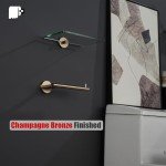 Champagne Bronze Wall-Mount Toilet Paper Holder Set