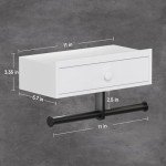 Double Toilet Paper Holder with Shelf & Storage