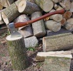 Stubai Nirolook Brass Guard Branch Axe