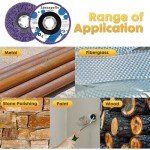 10-Pack Angle Grinder Stripping Wheel Discs