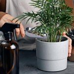 Heavy Duty Shovel Set for Planting and Gardening