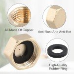 6PCS Brass Blanking Nut Caps with Washers