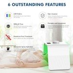 Cozion 7-Color LED Light Therapy Face Mask