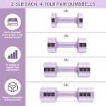 Adjustable Dumbbell Set for Home Workouts