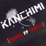 Kanchimi Mini Foldable Indoor Fitness Trampoline