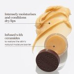 Burt's Bees Overnight Lip Mask for Intense Repair