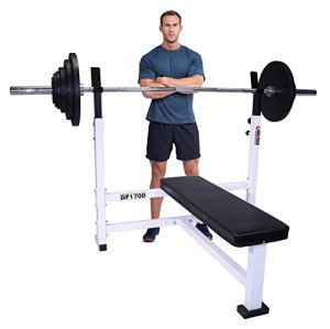 Heavy Duty Olympic Weight Bench - 750 lb Capacity