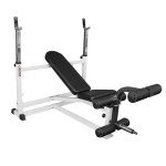 Deltech Fitness DF1000 Olympic Weight Bench with Leg Developer