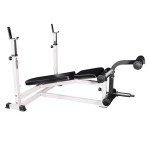 Deltech Fitness DF1000 Olympic Weight Bench with Leg Developer