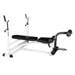 Deltech Fitness DF1000 Olympic Weight Bench with Leg Developer