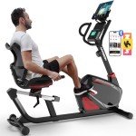 HARISON Pro Recumbent Exercise Bike for Home Fitness