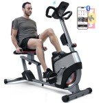 HARISON Pro Recumbent Exercise Bike with Bluetooth App