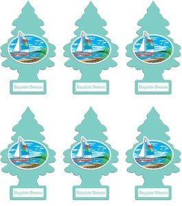 Little Trees Cardboard Hanging Car, Home & Office Air Freshener, Bayside Breeze (Pack of 6)