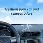 Refresh Your Car Car Air Freshener, Odor Eliminator, Set of 6 Auto Vent Sticks, Hawaiian Sunrise Scent, Refresh Your Car