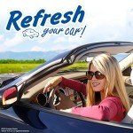 Refresh Your Car Car Air Freshener, Odor Eliminator, Set of 6 Auto Vent Sticks, Hawaiian Sunrise Scent, Refresh Your Car