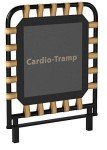 Merrithew SPX Max Cardio-Tramp Rebounder