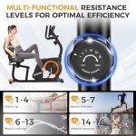 Recumbent Exercise Bike with Magnetic Resistance System