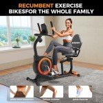 Recumbent Exercise Bike with Magnetic Resistance System