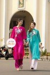 Charming Embroidered Ao Dai for Tet Celebration