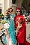 Charming Embroidered Ao Dai for Tet Celebration