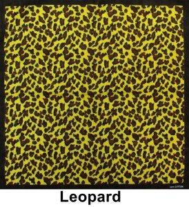 Cotton Paisley Print Scarf and Head Wrap