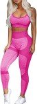 OLCHEE Women's Seamless Yoga Leggings & Bra Set