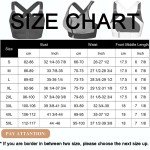 Zipper Front Padded Sports Bra for Women