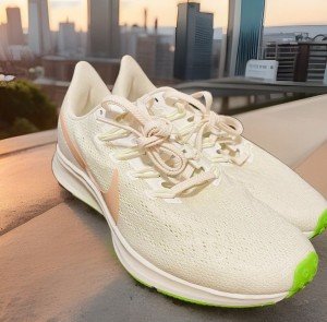 NIKE Pegasus 36 Air Zoom Womens 8 US 39 AQ2210-002  Running Phantom/Bio Beige 