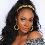 Multicolor Bead Headband and Earrings Set