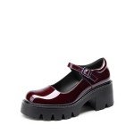 DREAM PAIRS Women's Chunky Heel Mary Jane Shoes