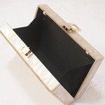 Beige Acrylic Evening Clutch Bag for Women