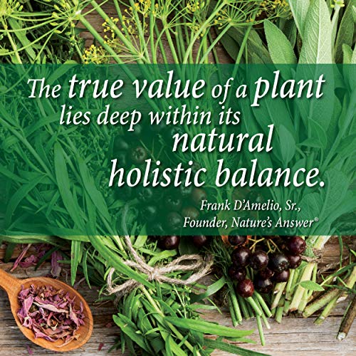 Garlic Extract 1 FL Oz  by Nature's Answer