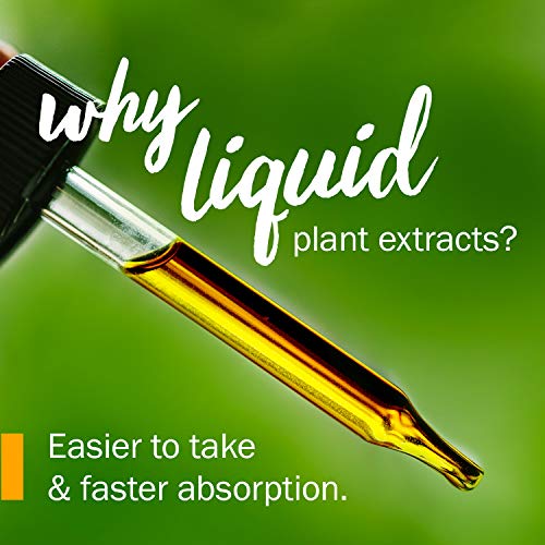 Certified Organic Echinacea Liquid Extract - 1oz